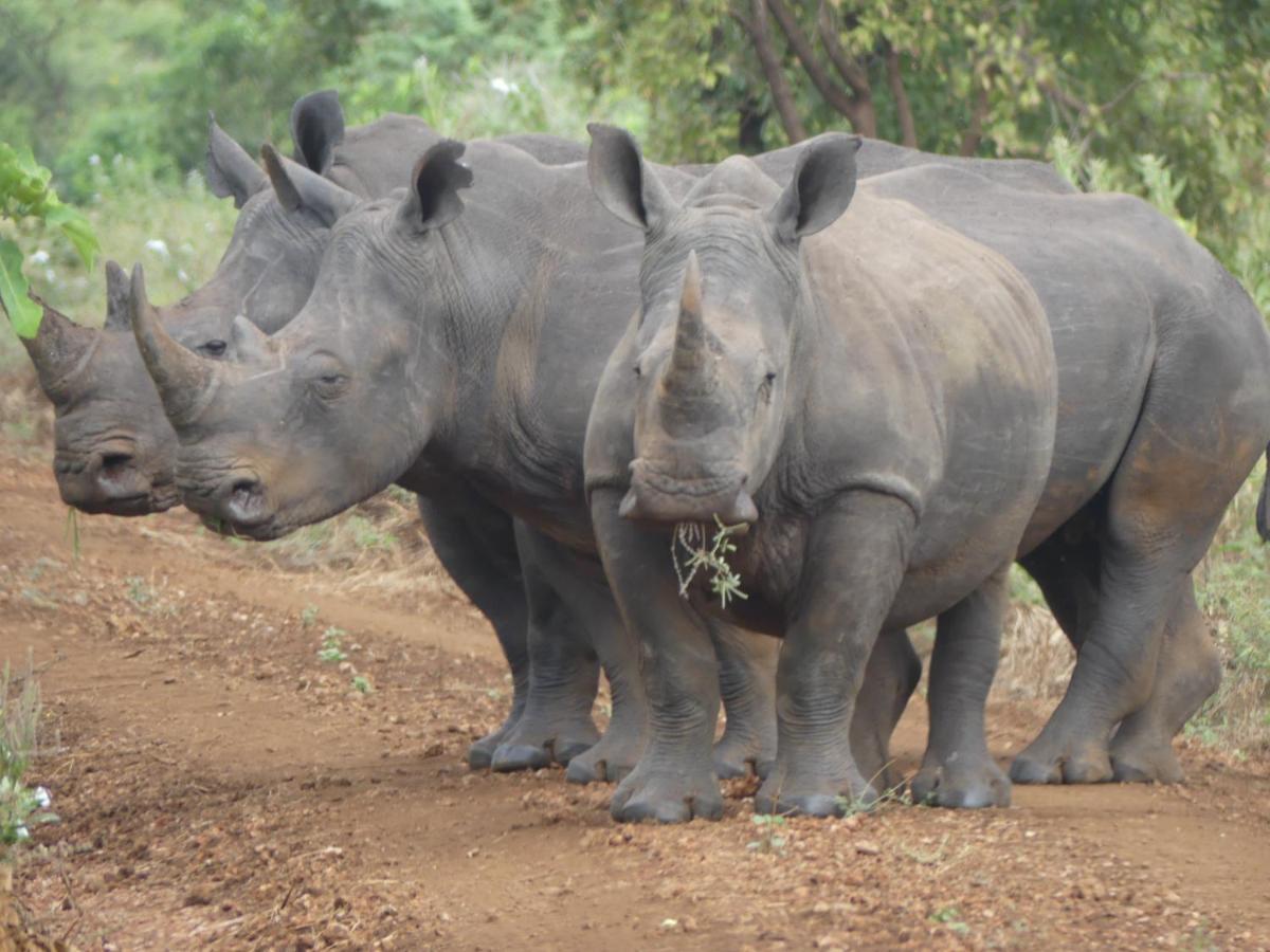 Отель Ikweta Safari Camp Maua Экстерьер фото